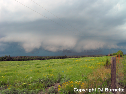Large Wall Cloud