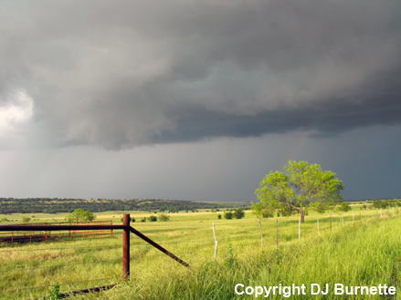 Wall Cloud Developing (left) with Dim Rainbow (right)